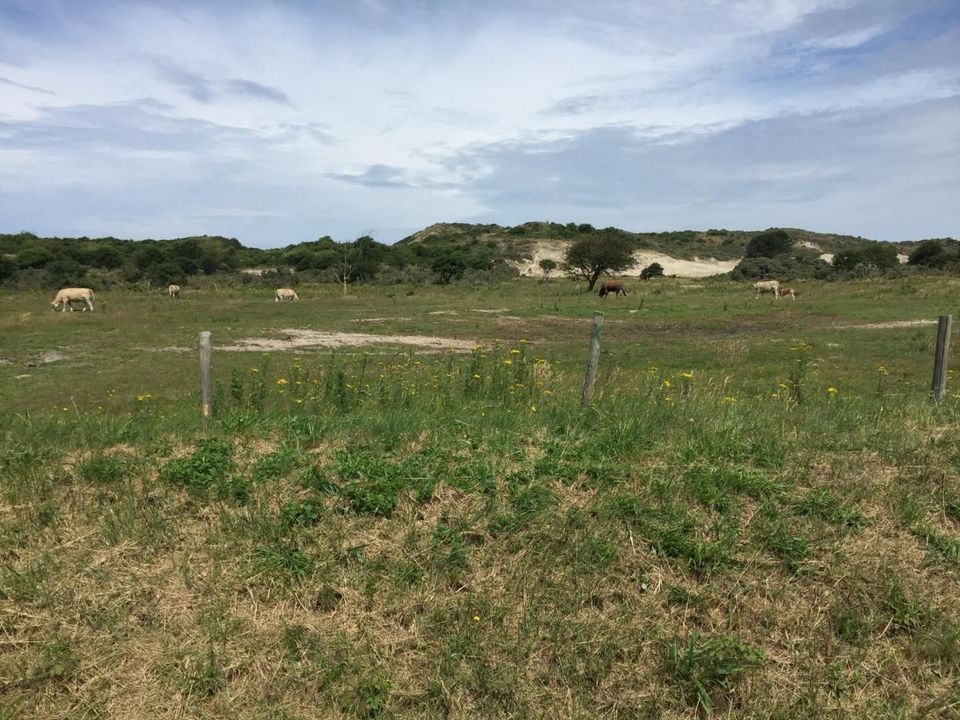 Strandweg 18 image thumbs 1