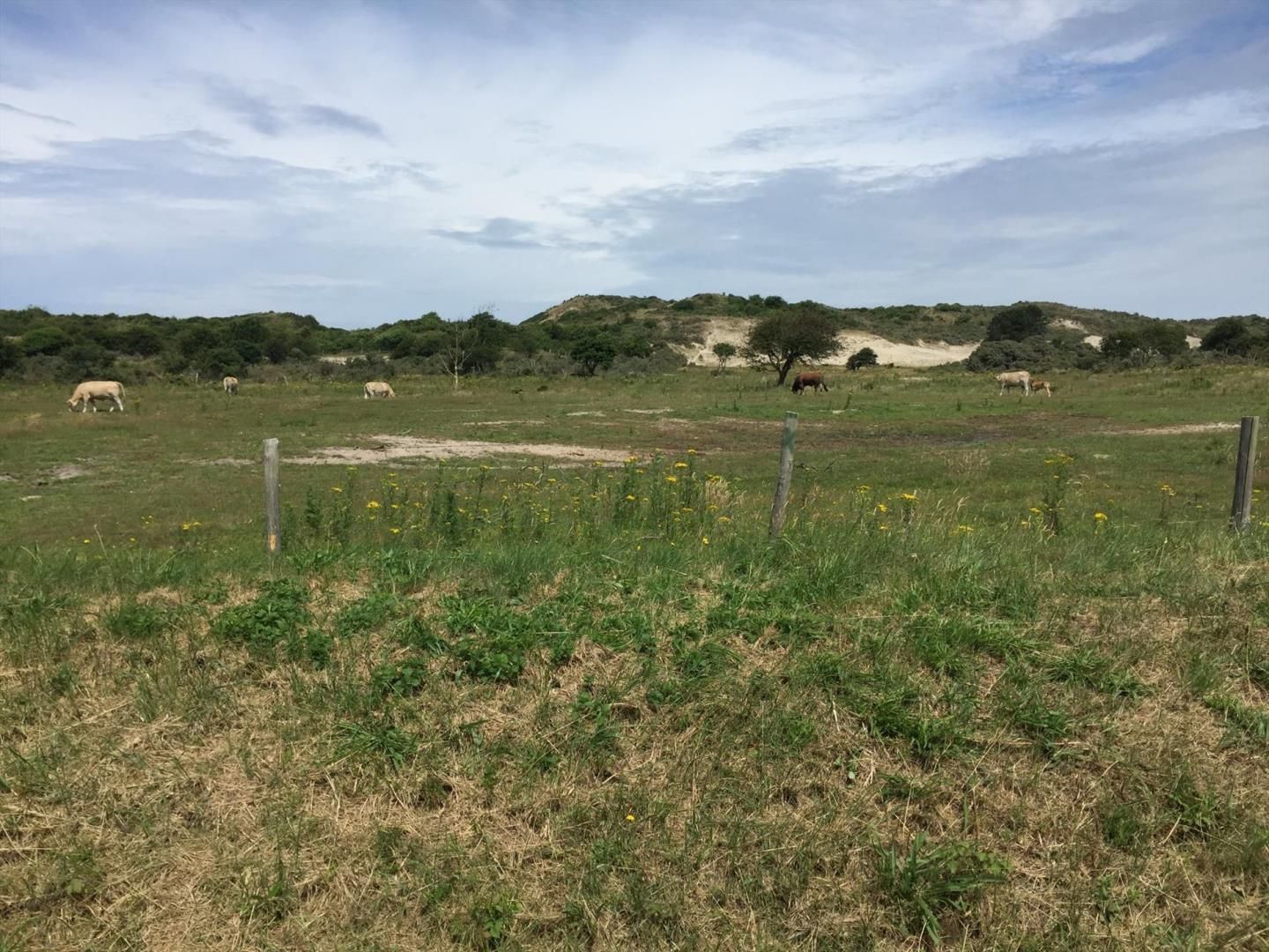 Strandweg 18 image 1