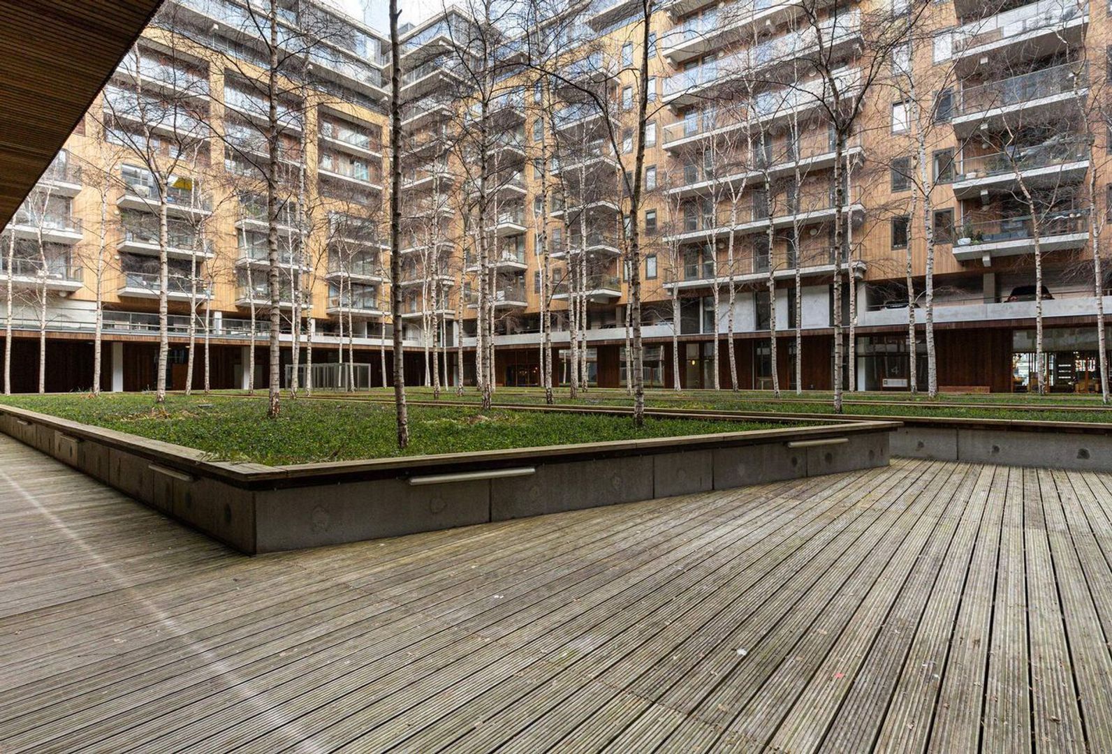 Binnenrotte 393 image 1