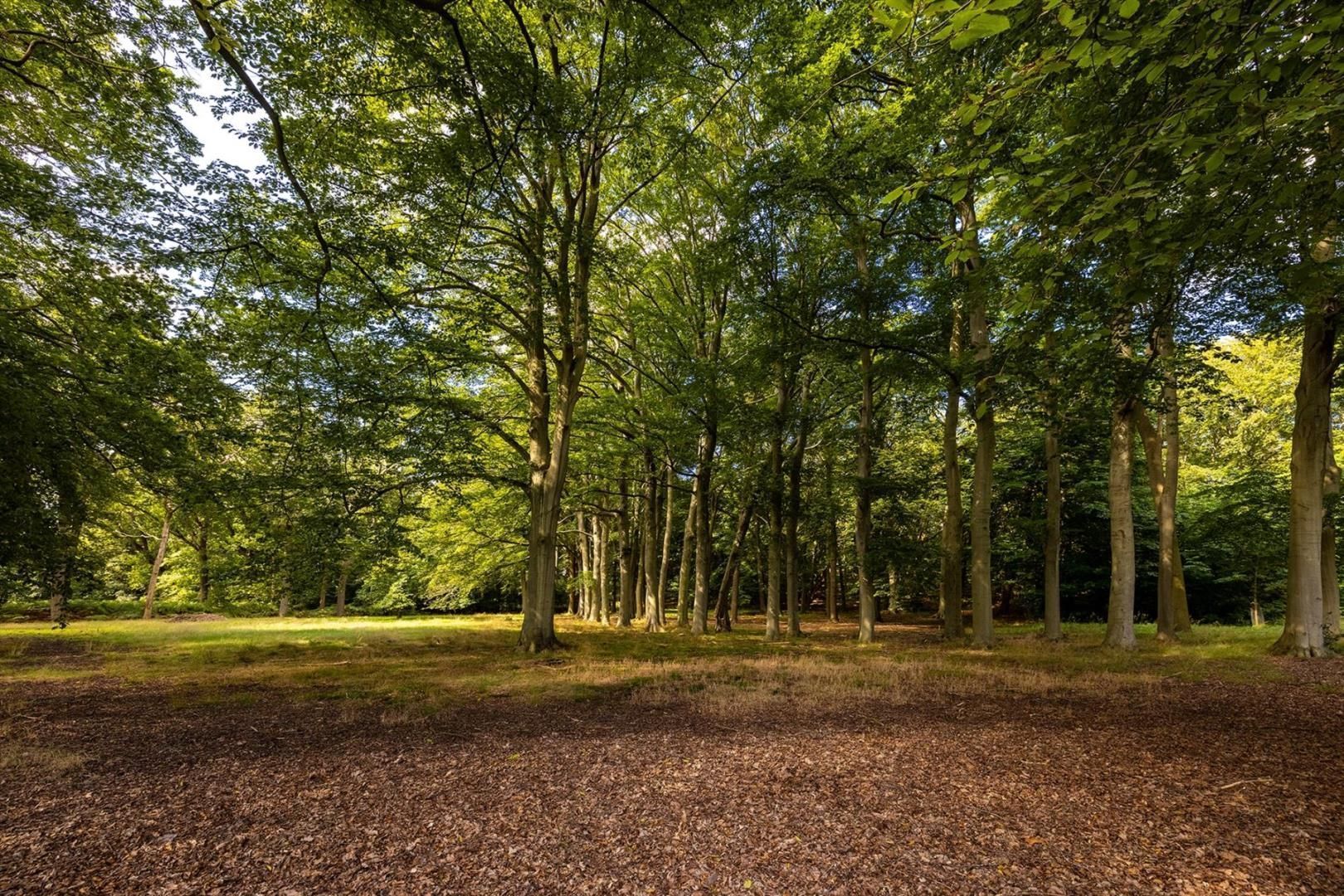 Buurtweg 38 image 1
