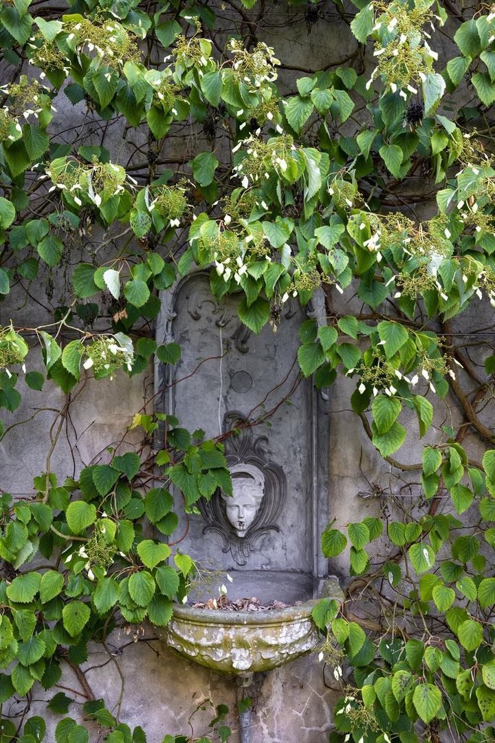 Buurtweg 38 image 1