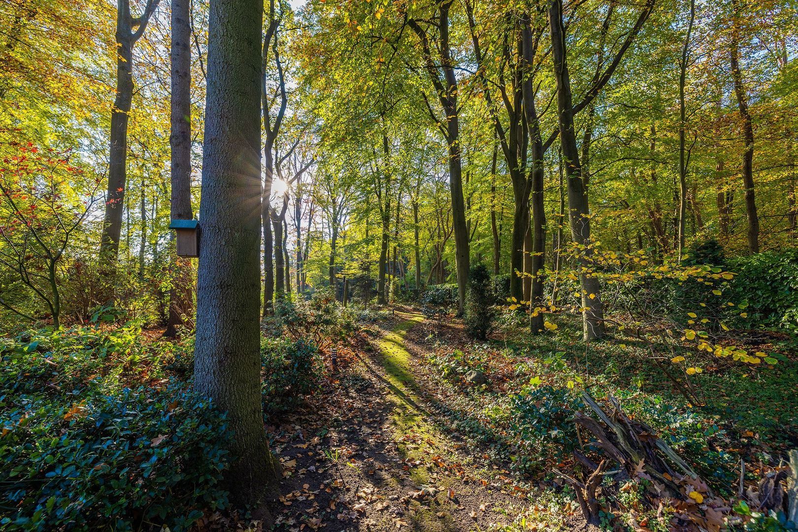 Larixlaan 8 image 1