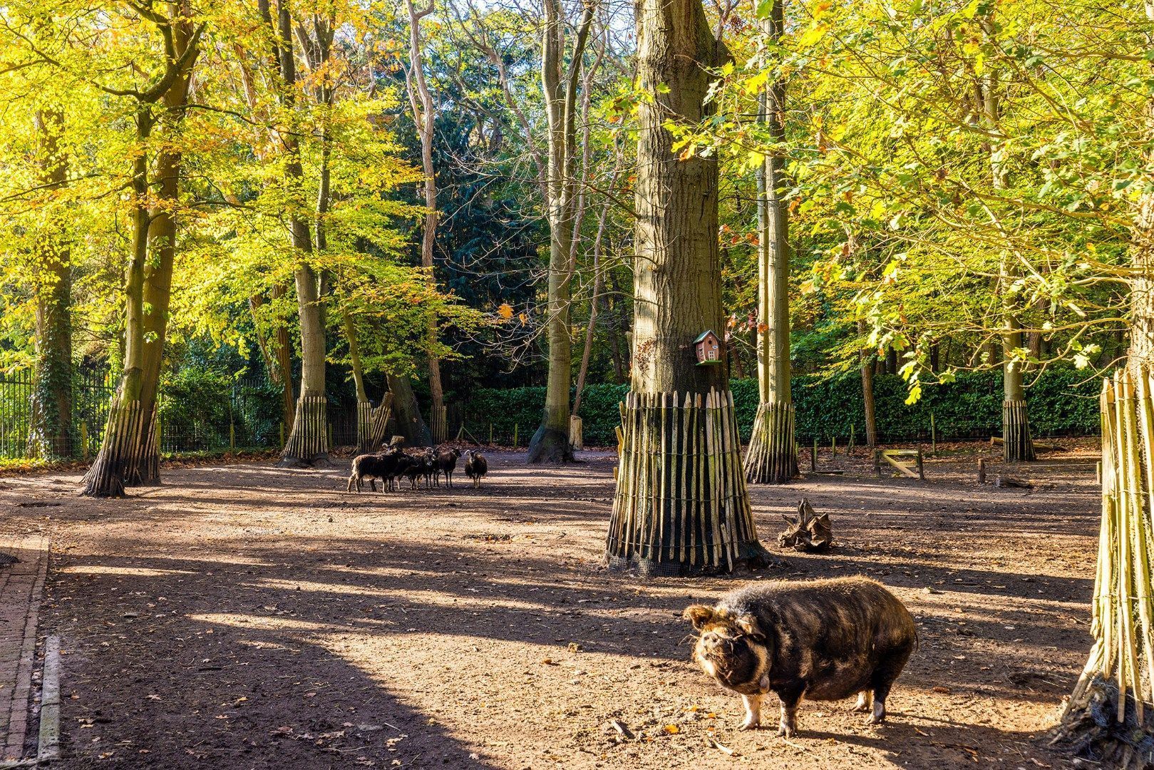 Larixlaan 8 image 1