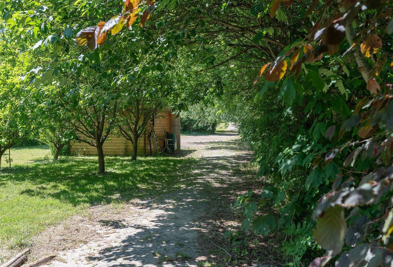 Oudelandsedijk 26 image 1