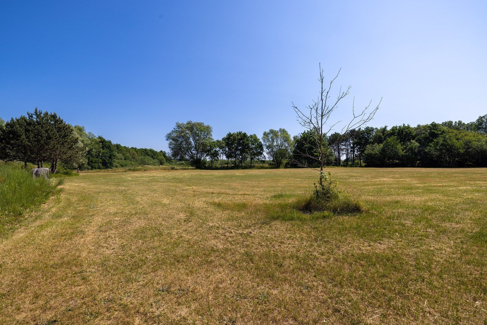 Blomweg 1 image 1