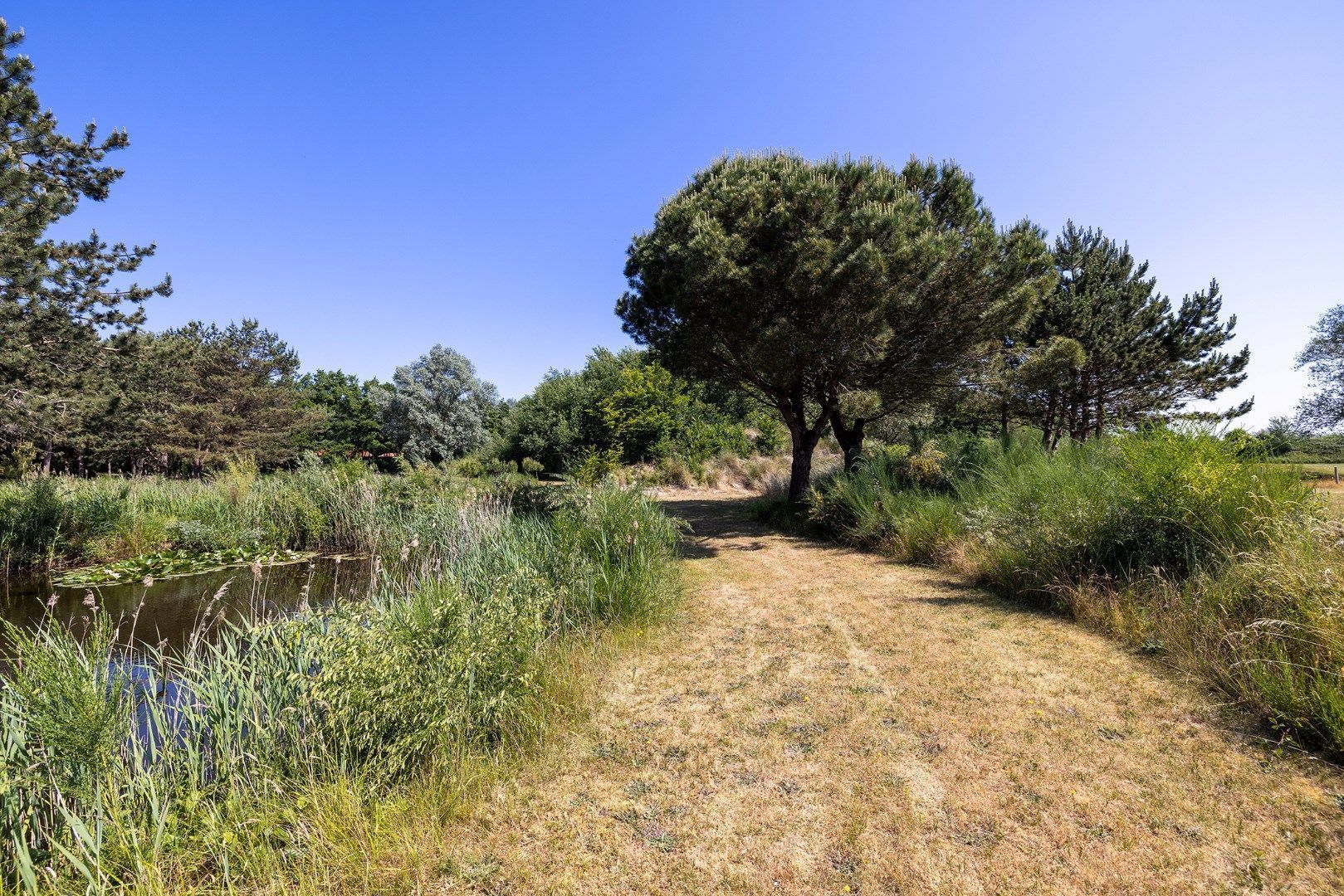 Blomweg 1 image 1