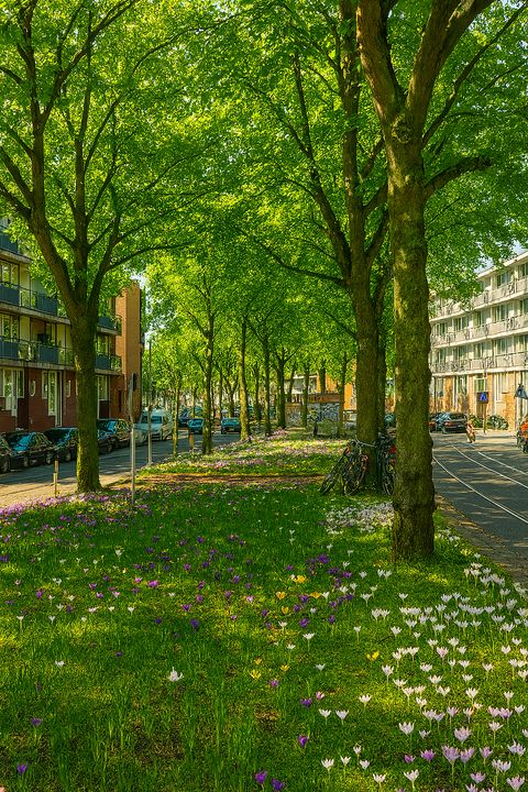 Claes de Vrieselaan 160 B 01 image thumbs 1