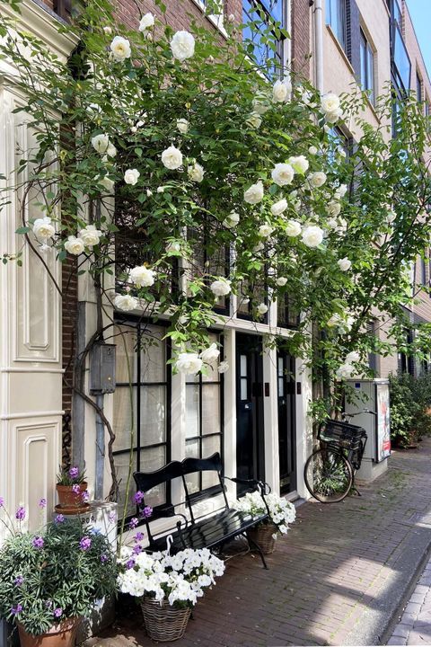 Eerste Bloemdwarsstraat 16, Amsterdam