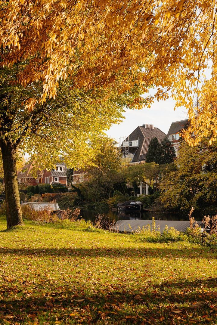 Dijsselhofplantsoen 12 image 1