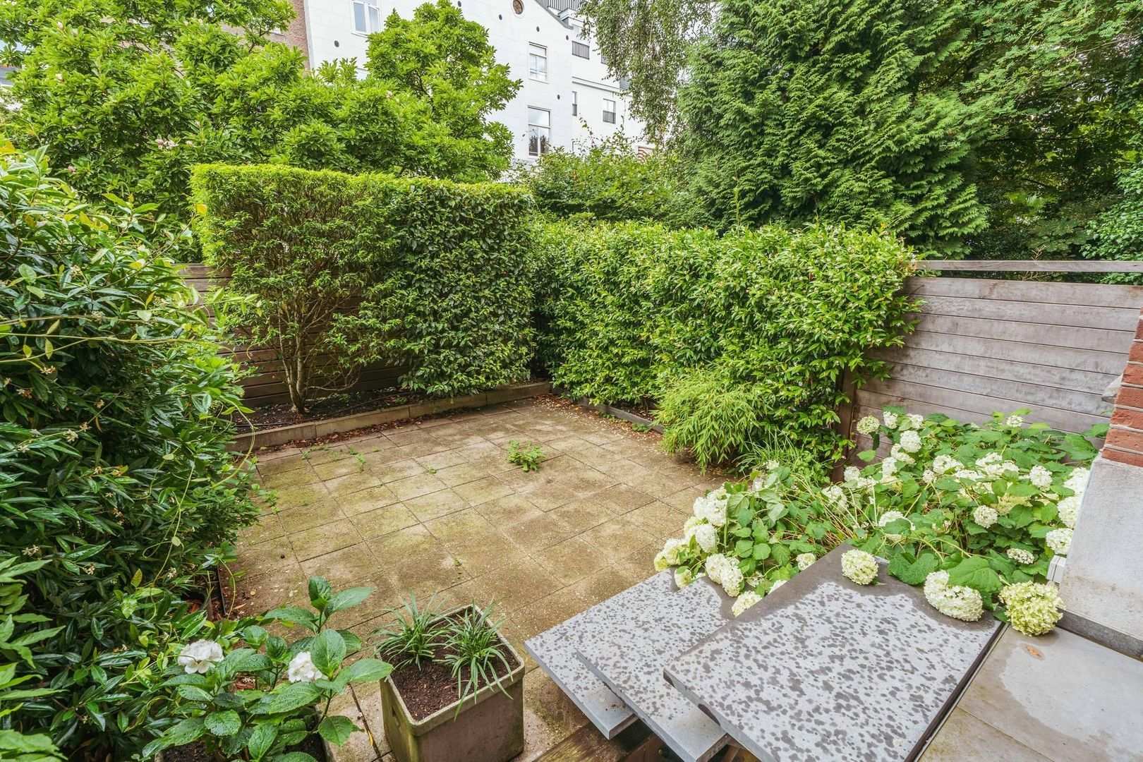 Van Breestraat 14 image 1