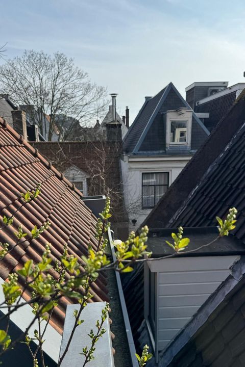 Utrechtsedwarsstraat 149 image thumbs 1
