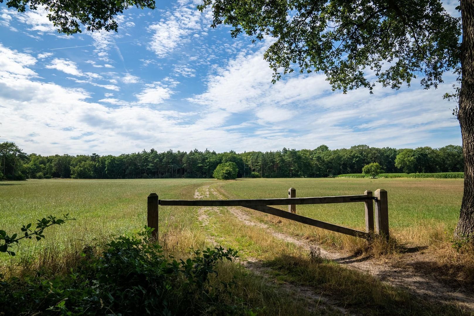 Koeweideweg 0 ong image 1