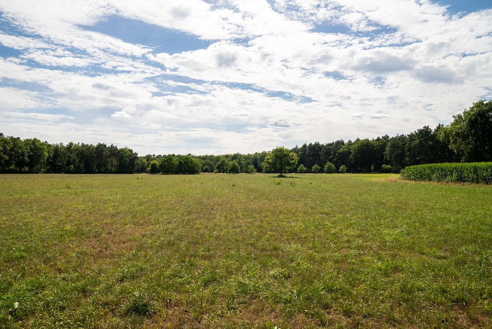 Koeweideweg 0 ong image 1