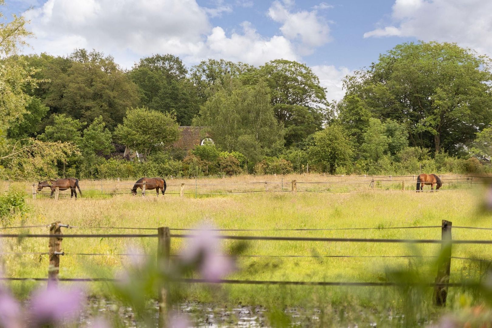 Zomervreugdweg 3 image 1