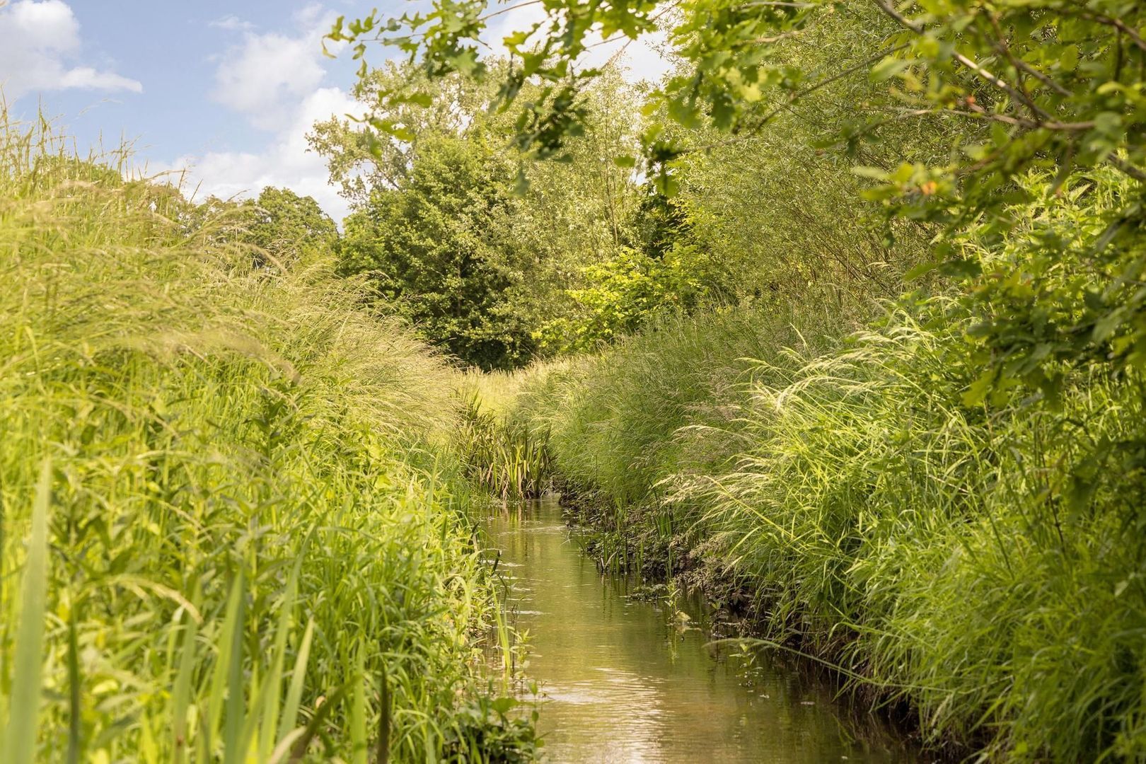 Zomervreugdweg 3 image 1