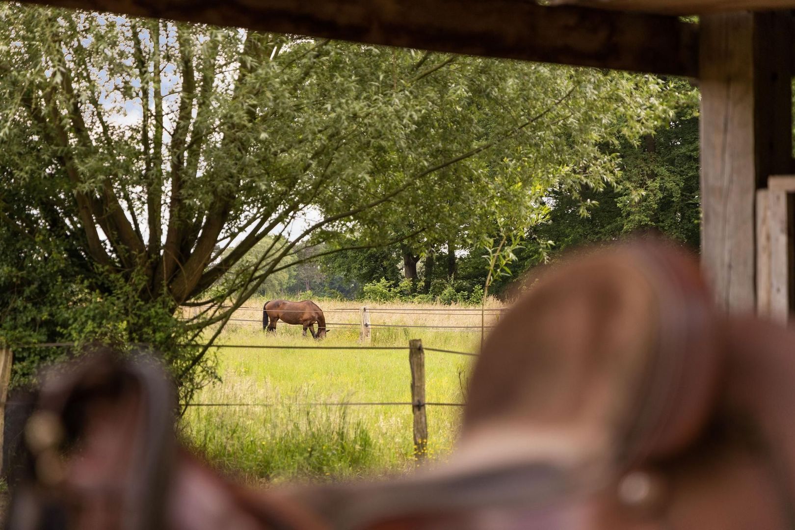 Zomervreugdweg 3 image 1