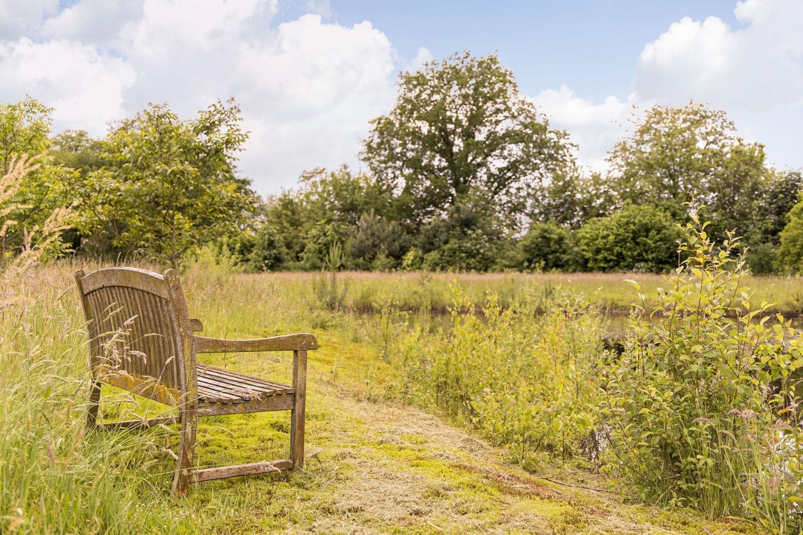 Zomervreugdweg 3 image 1