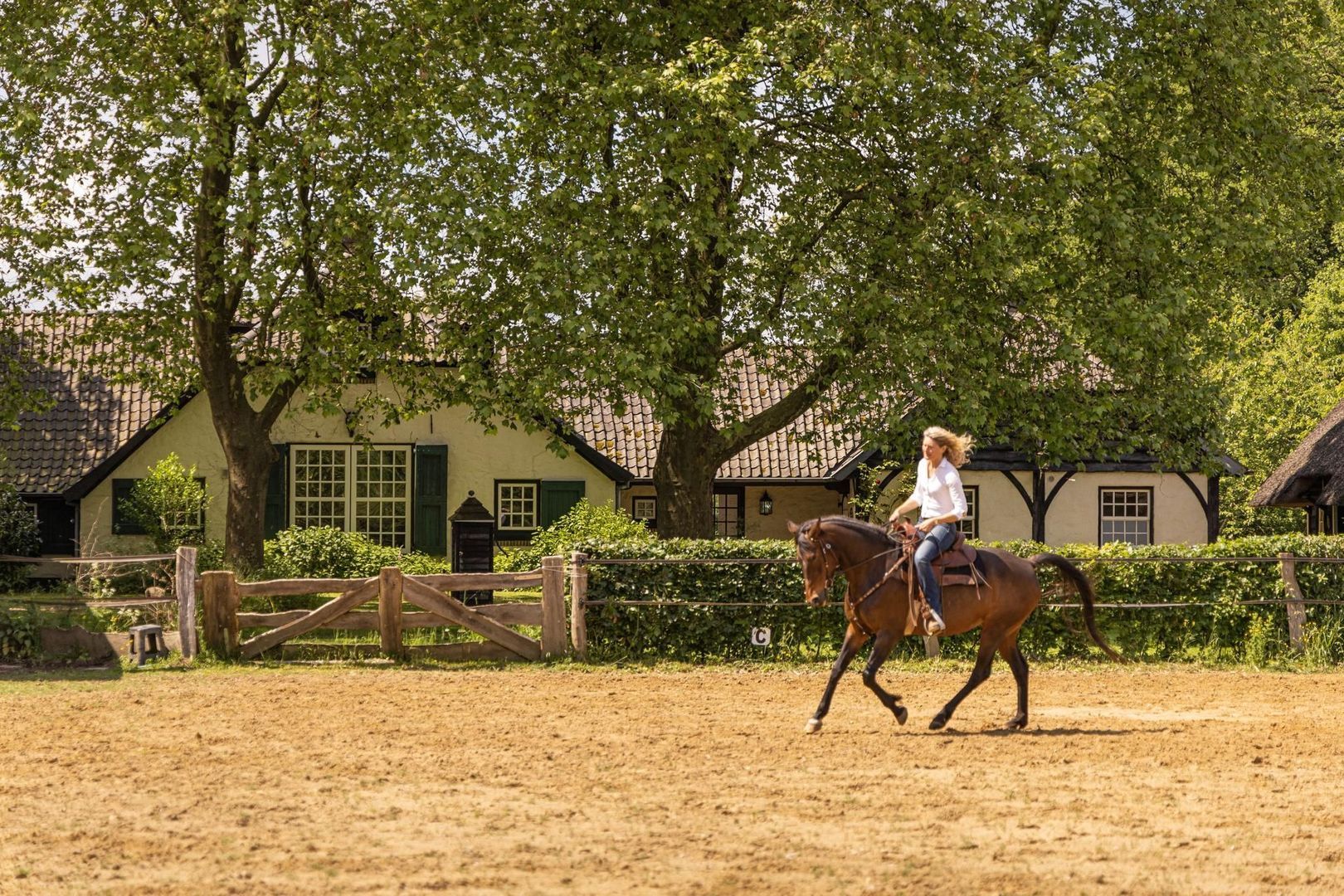 Zomervreugdweg 3 image 1