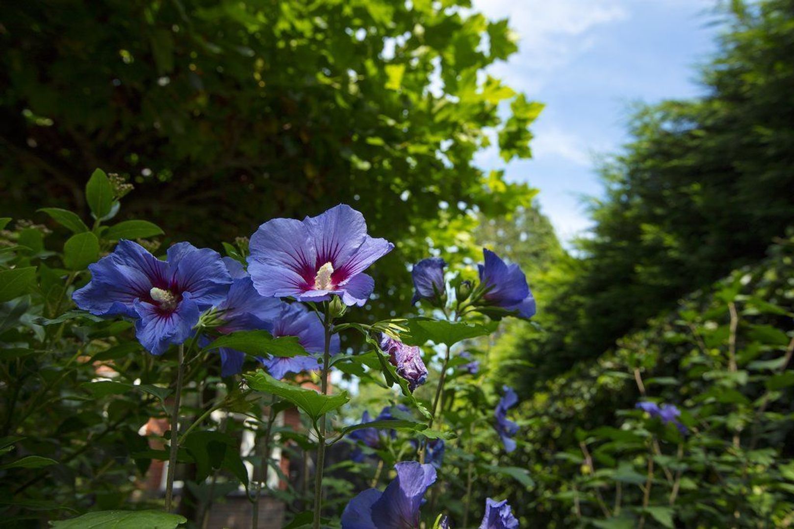 Rijksstraatweg 154 image 1