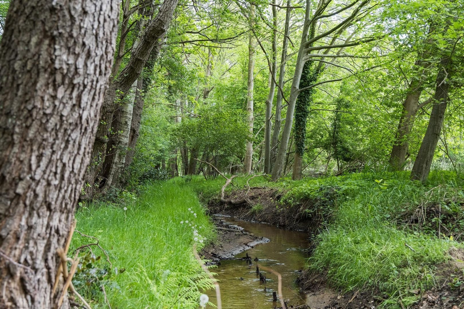 Drienerveldweg 130 image 1