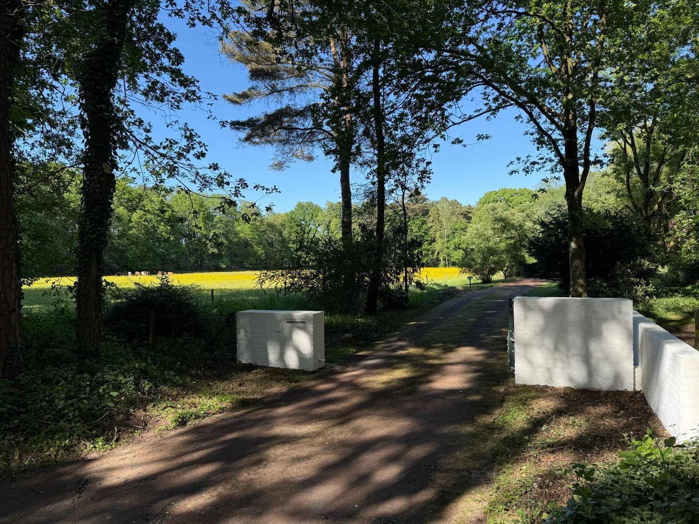 Drienerveldweg 130 image 1