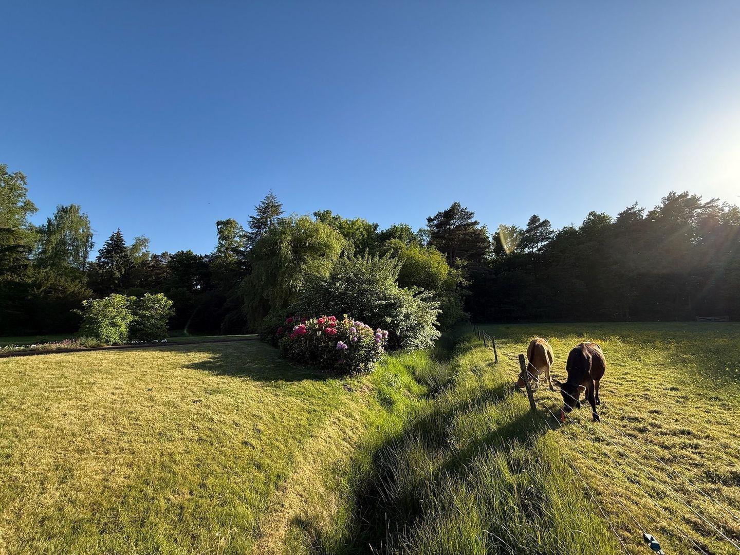 Drienerveldweg 130 image 1