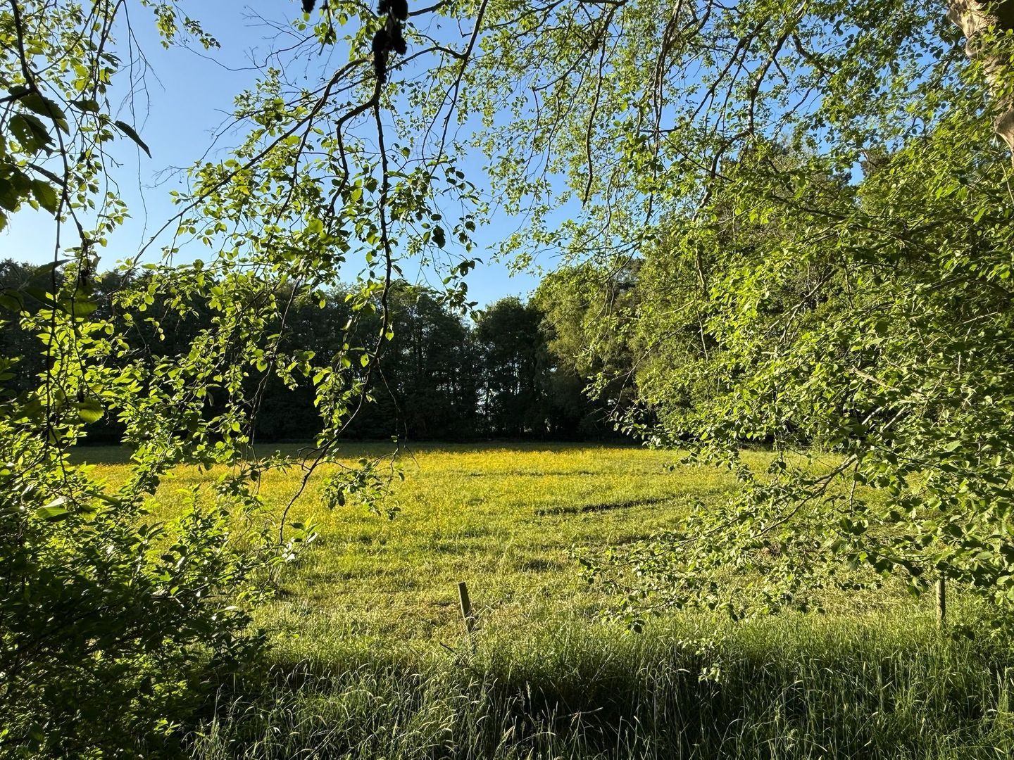 Drienerveldweg 130 image 1