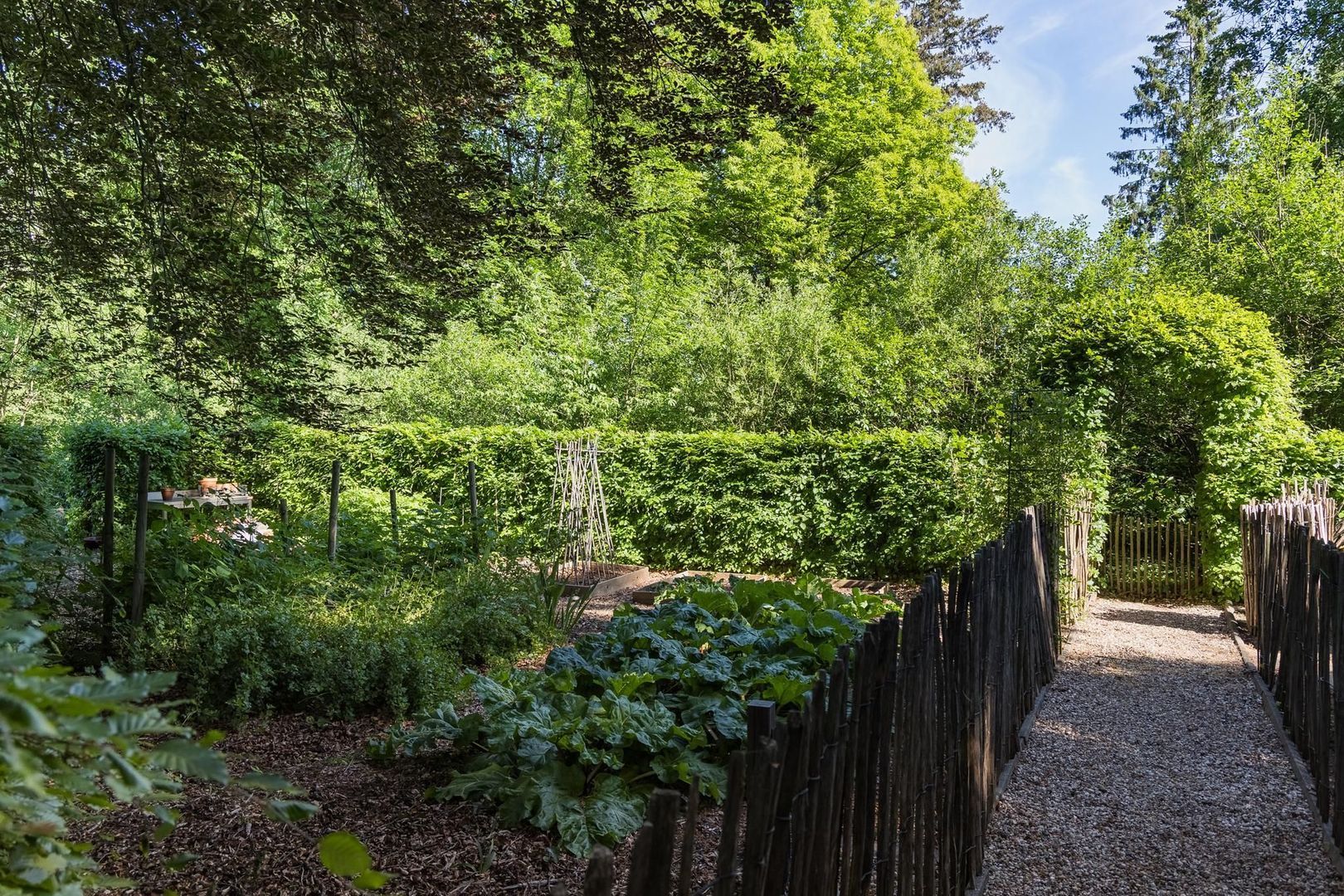 Zutphenseweg 37 image 1