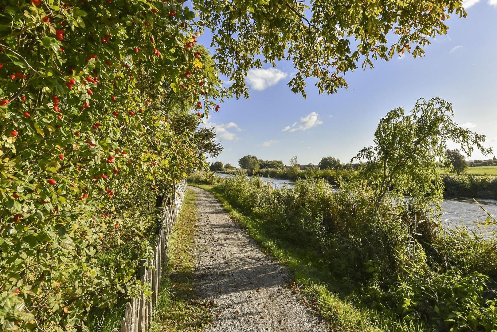 Zwetkade 8, Pijnacker foto-51