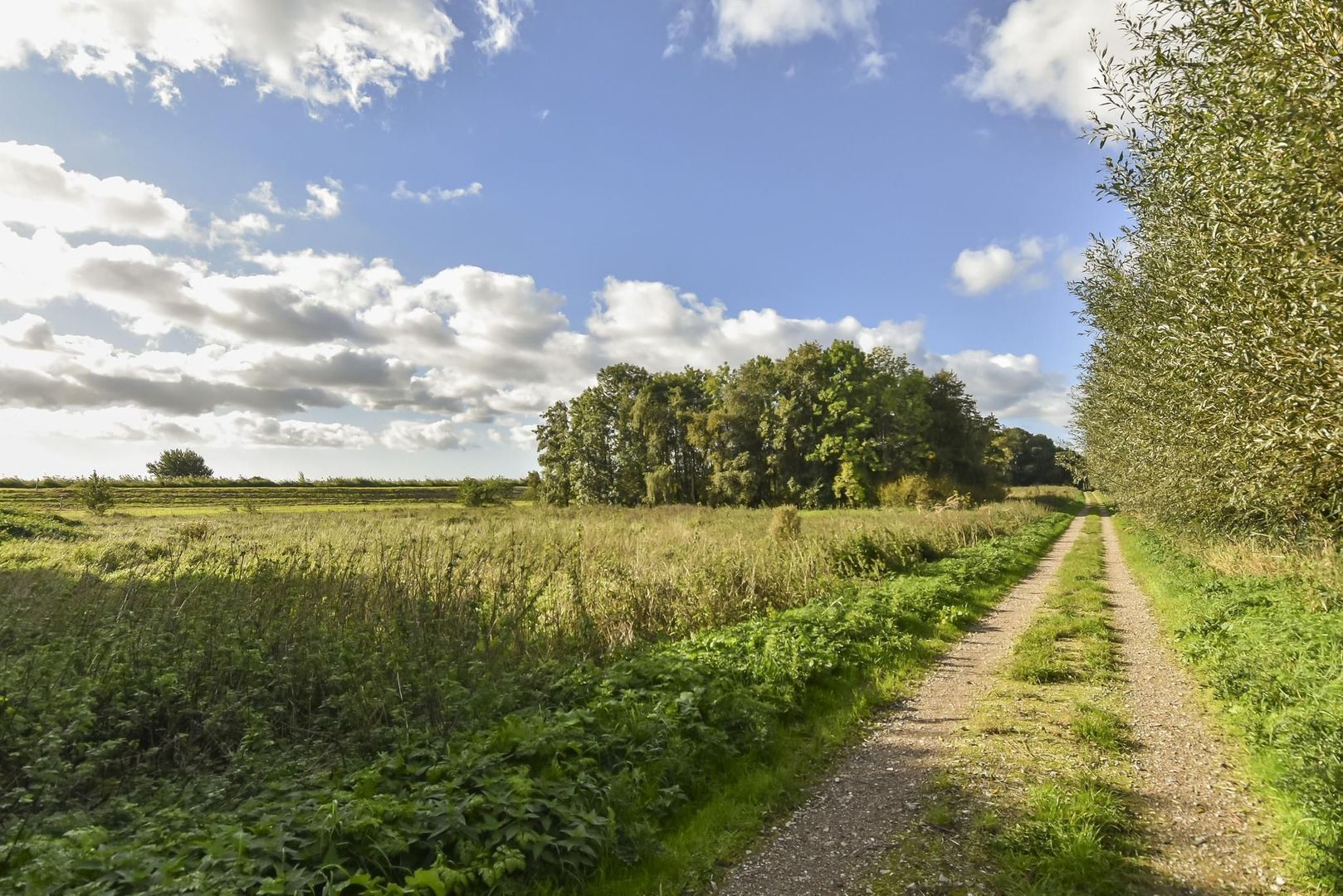 Zwetkade 8, Pijnacker foto-69