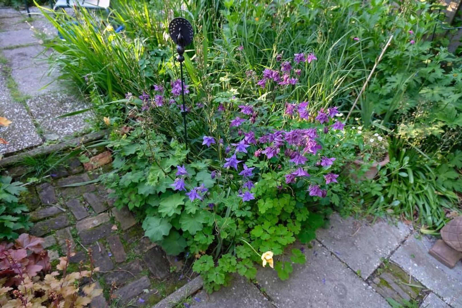 Oosteinde 228 a, Delft foto-26