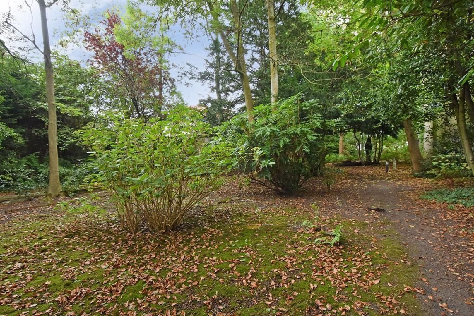 Noordeinde 31, Delft foto-28