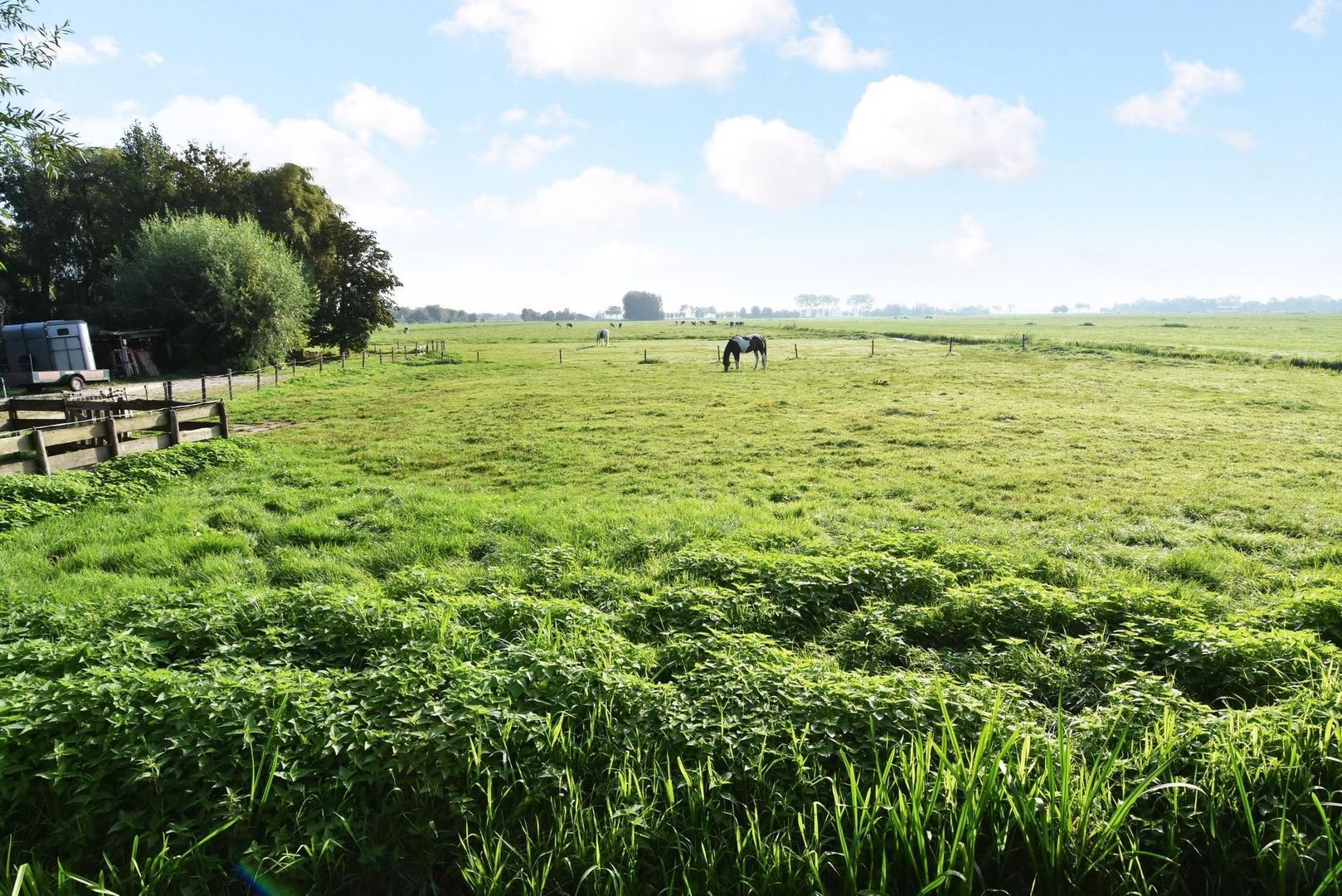 Vlaardingsekade 52, Schipluiden foto-44