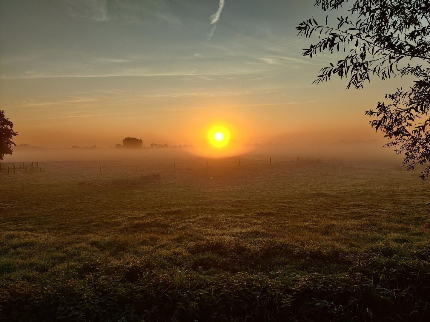 Vlaardingsekade 52, Schipluiden foto-2