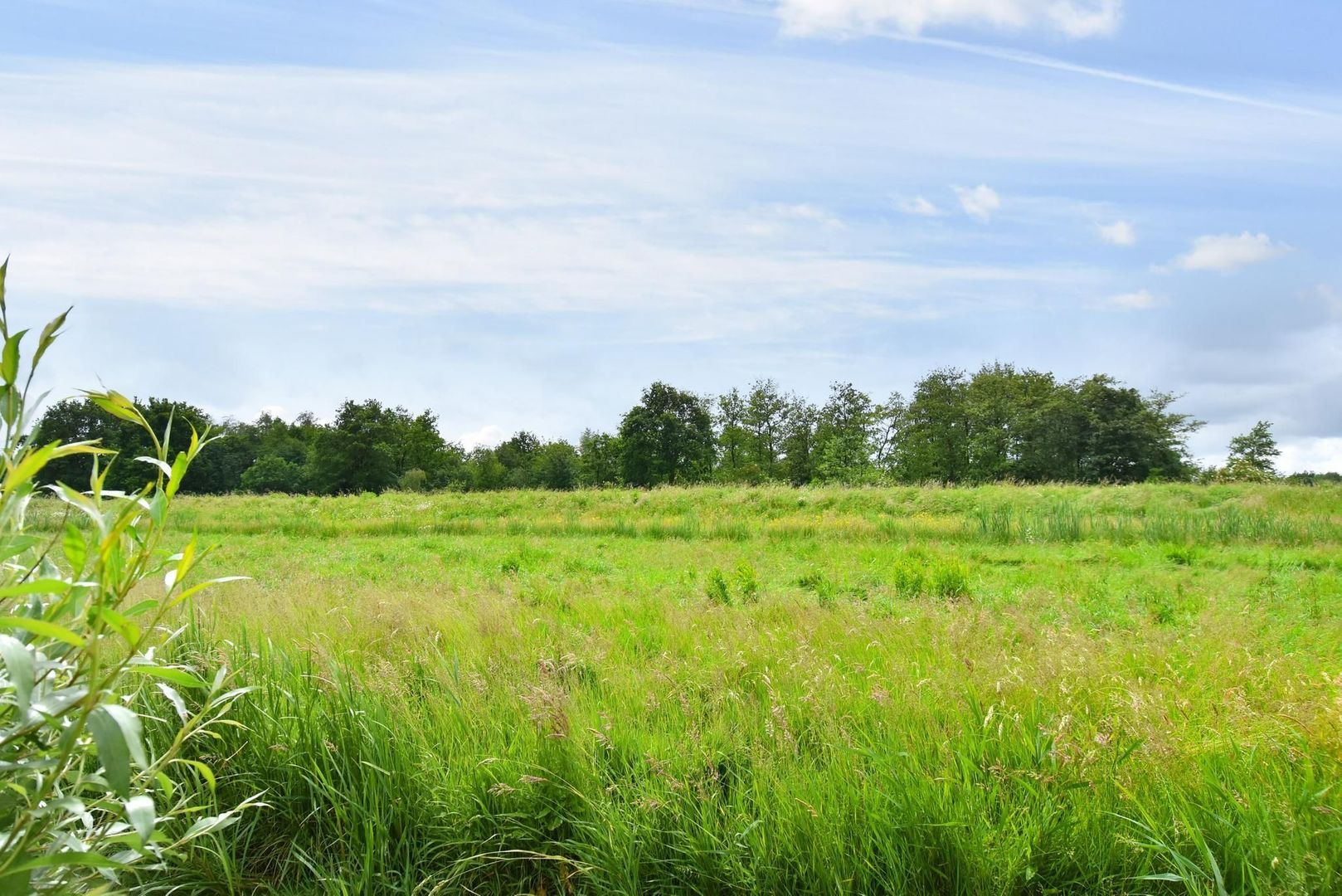 Ackersdijkseweg 2, Delfgauw foto-46