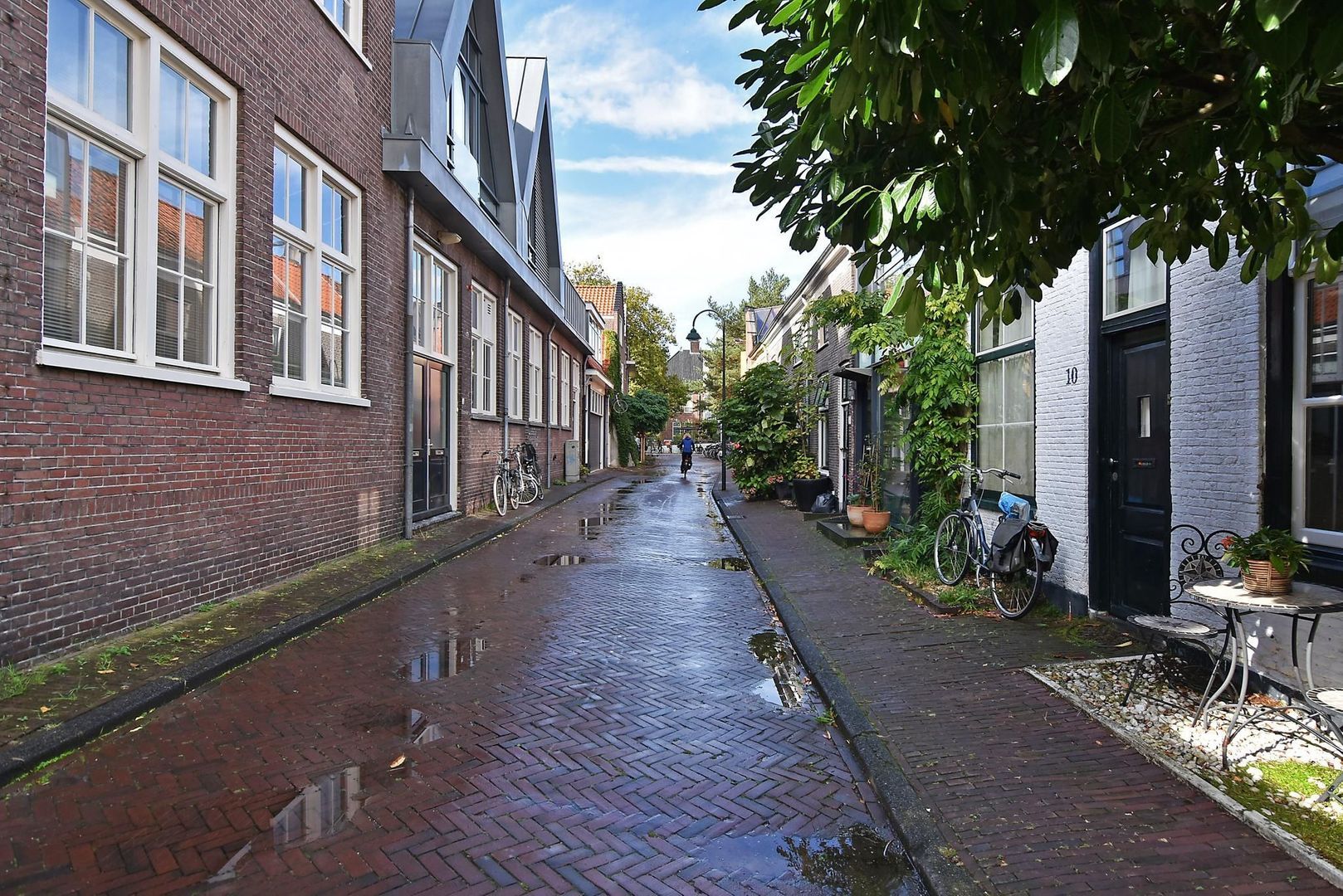 Pluympot 8, Delft foto-7