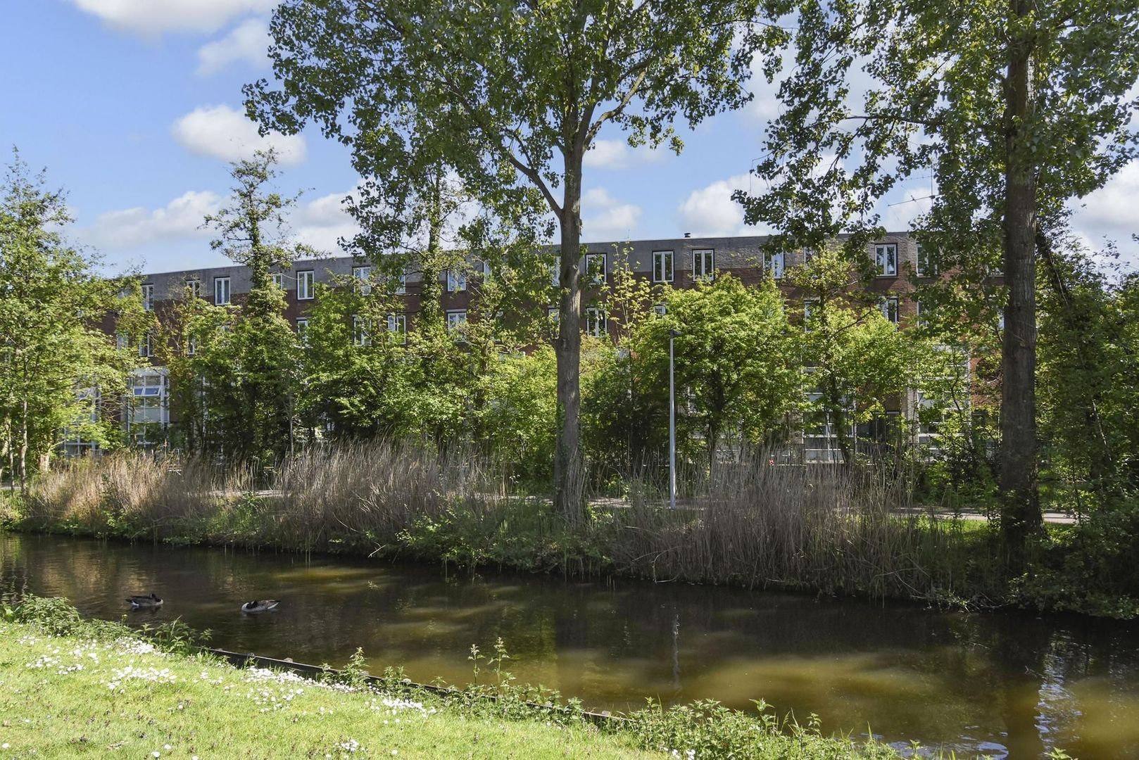 Waterloop 40, Delft foto-61