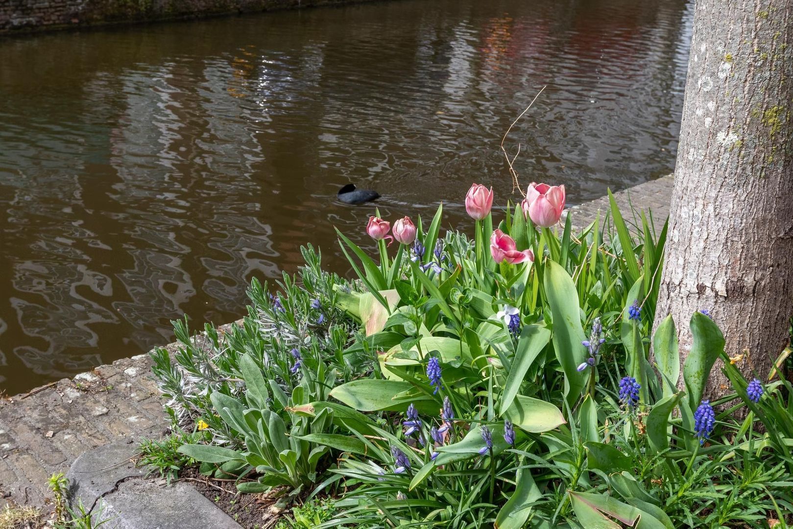 Oude Delft 32, Delft foto-70