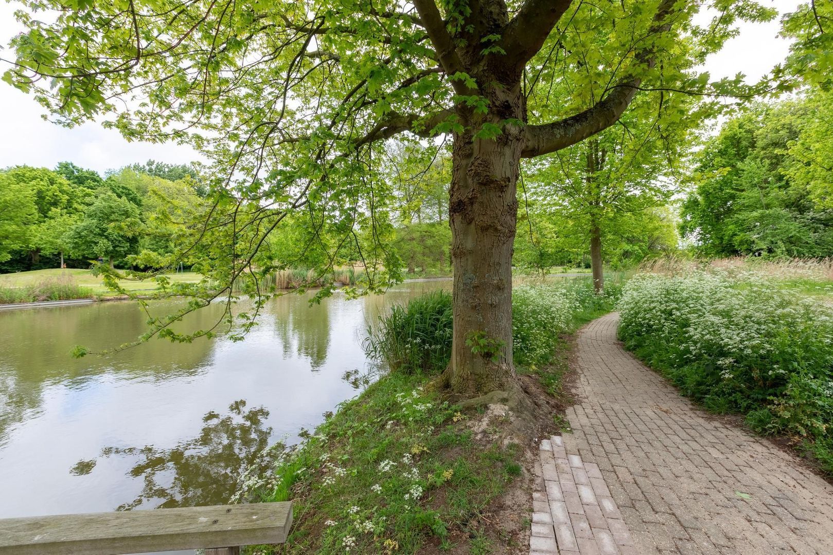 Hof van Zilverlicht 41, Delft foto-41