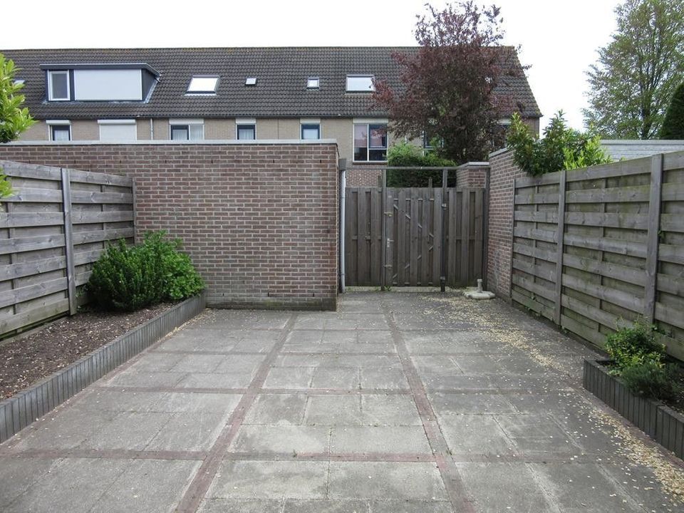 Image 17