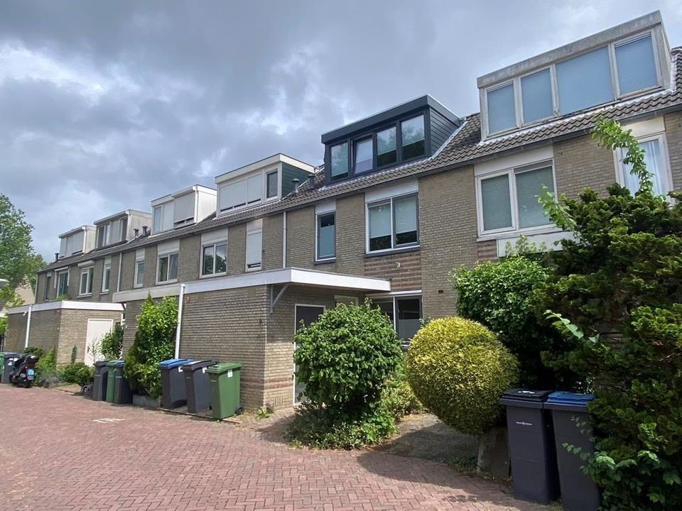 De Parel
