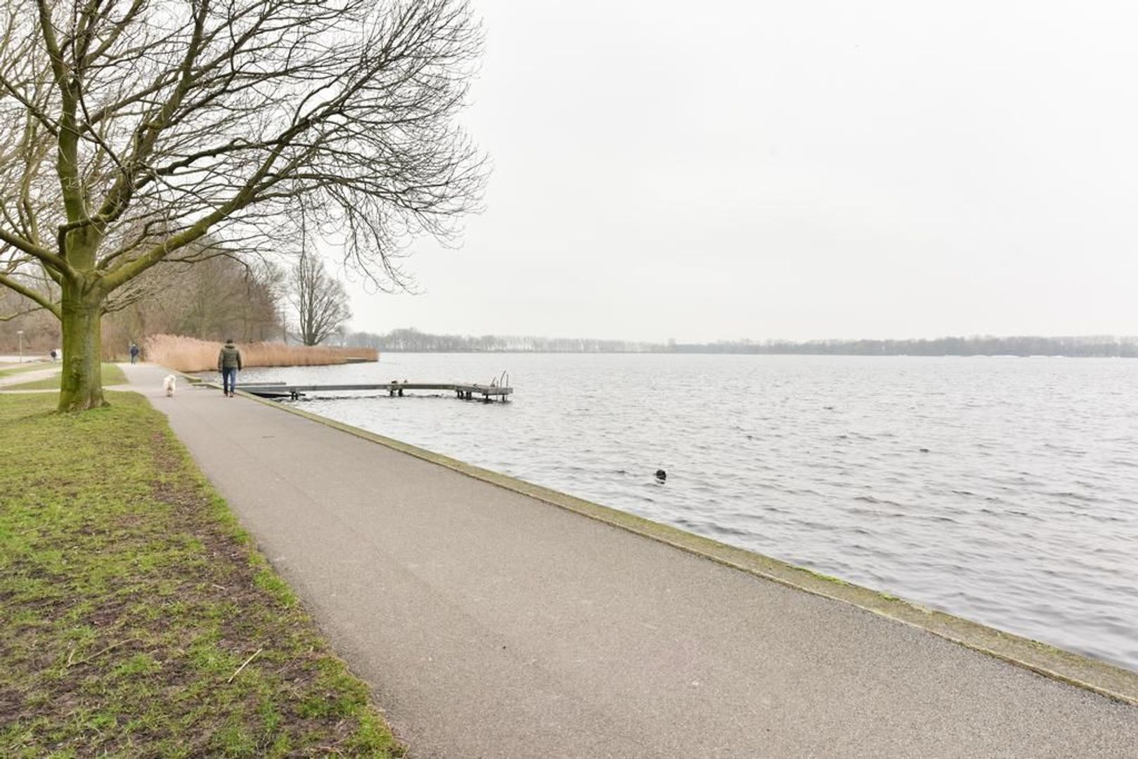 Klaverhof 21, Alphen Aan Den Rijn foto-22 blur