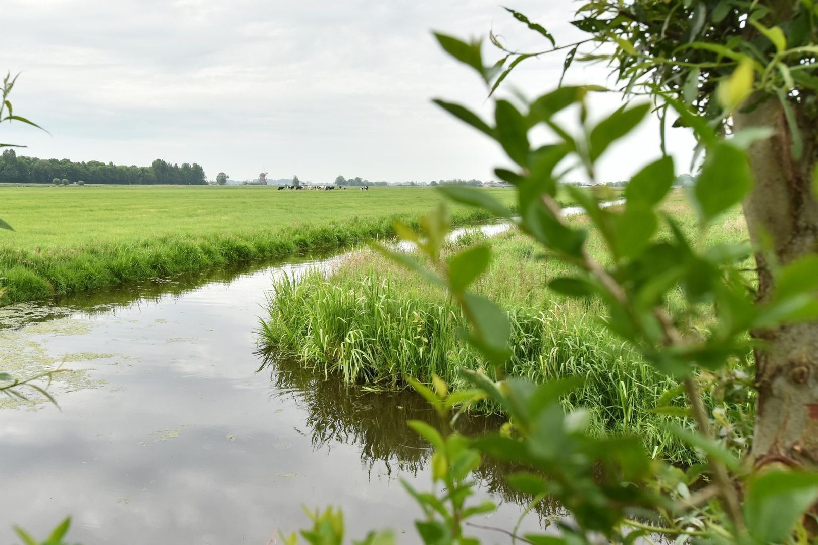 Noordeinde 66, Aarlanderveen foto-42 blur