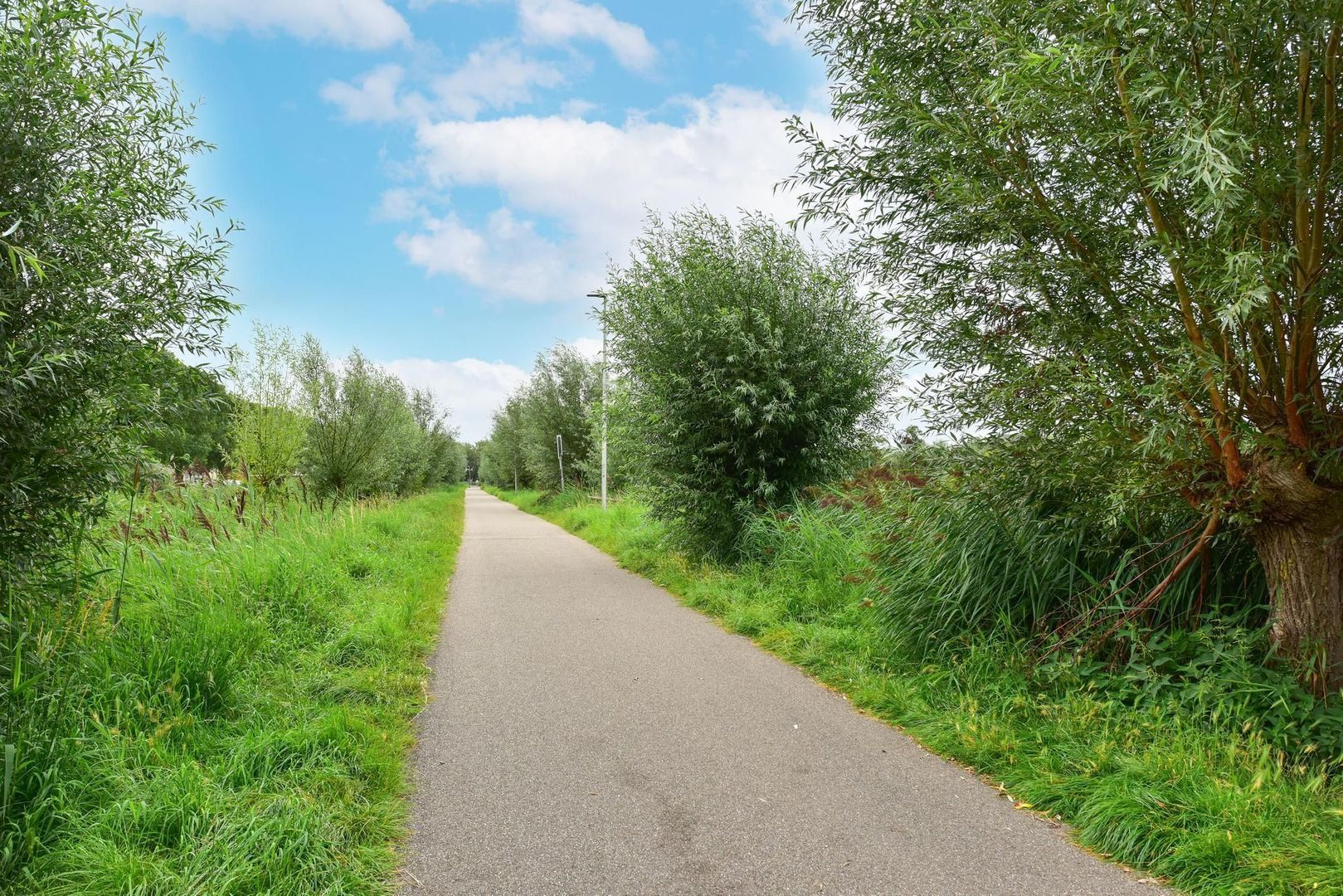 Quadriviumlaan 5, Alphen Aan Den Rijn foto-25 blur