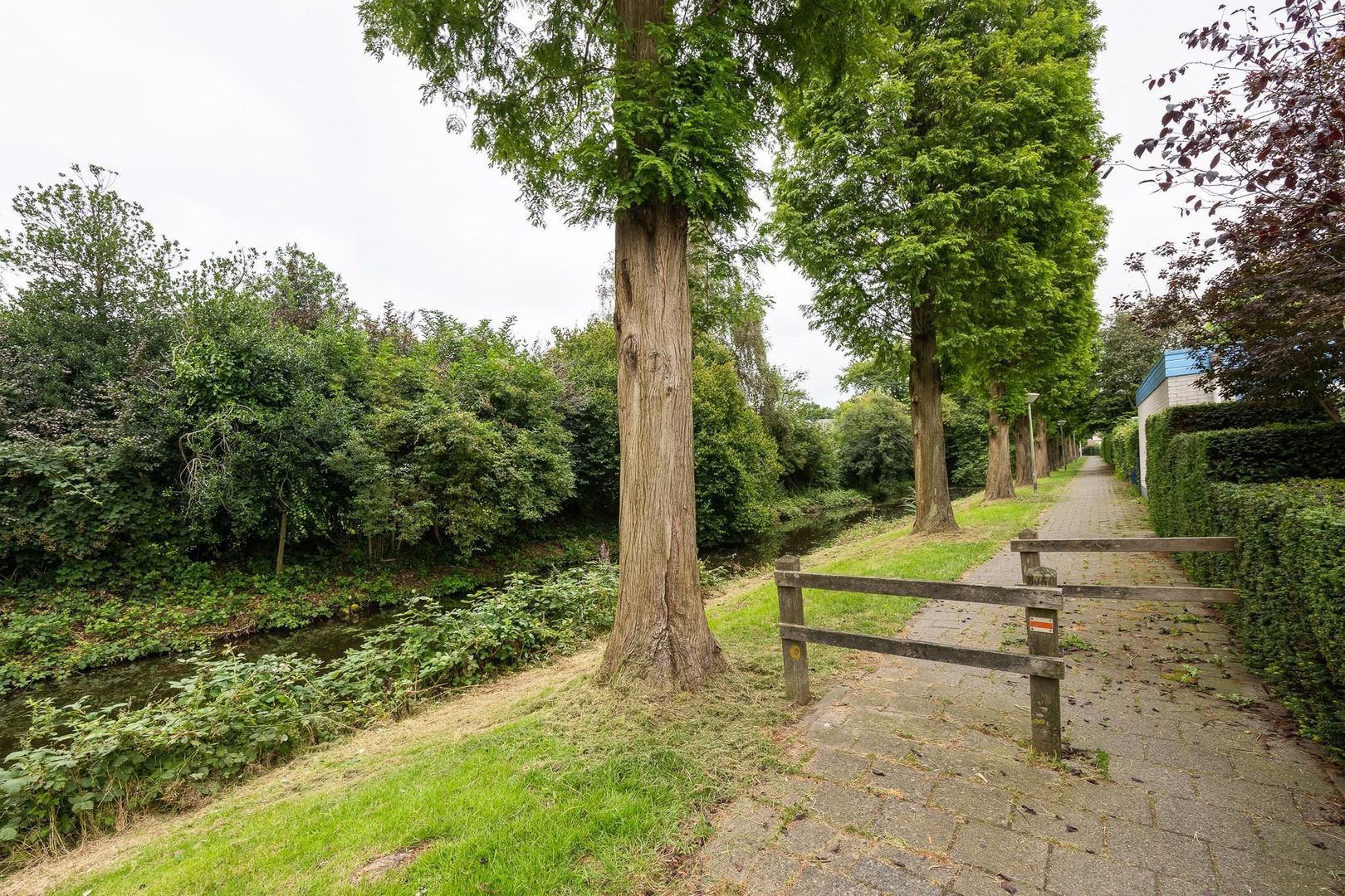 Standaardmolen 1, Alphen Aan Den Rijn foto-35 blur