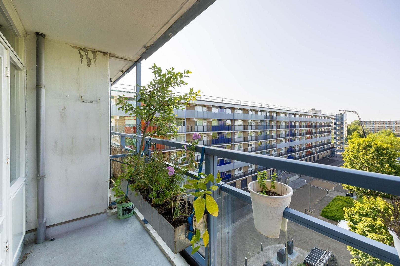 Argostraat 126, Alphen Aan Den Rijn foto-18 blur
