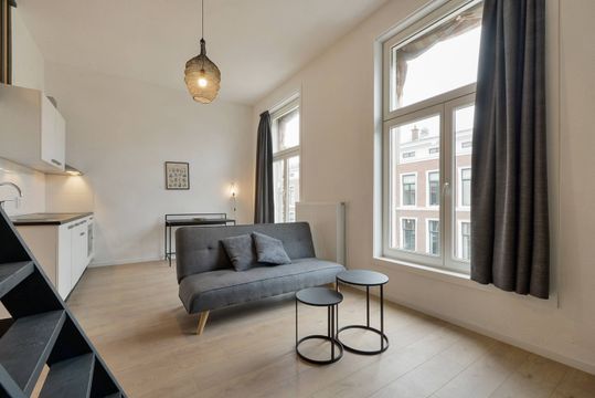 vrije-sector-woningen te huur op Parkstraat