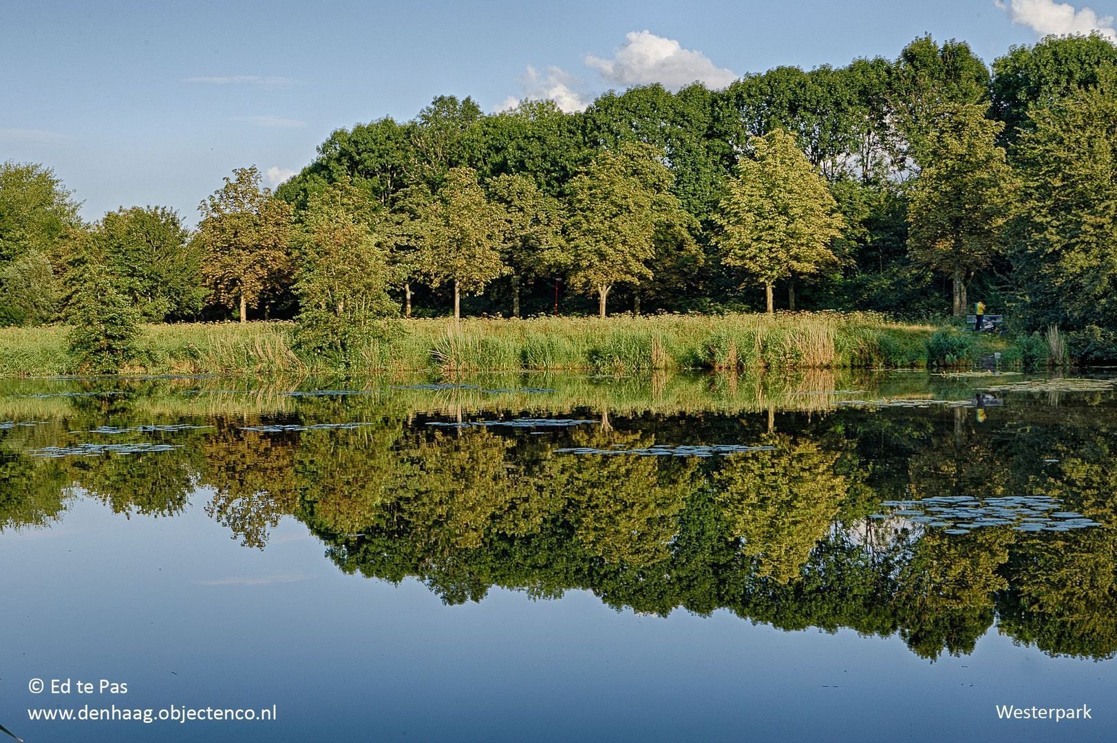 Wijnberg 10, Zoetermeer foto-34