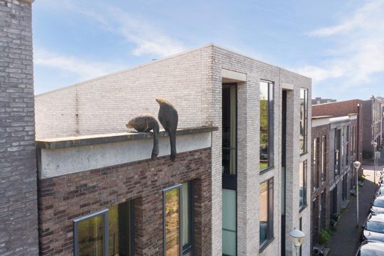 Patrijsplantsoen 31, Den Haag small-3