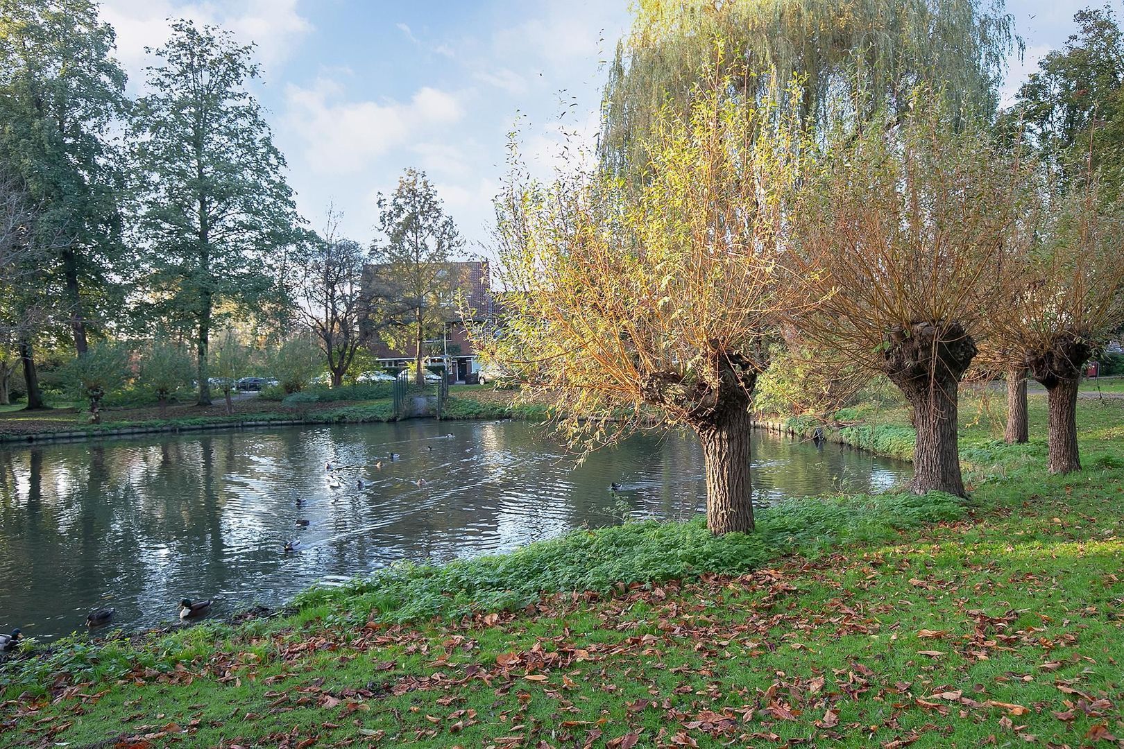 van Arembergelaan 14, Voorburg foto-32